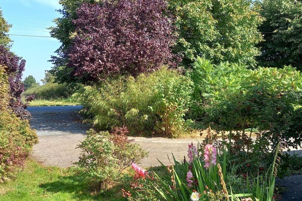 Millfields Cottage And Garden Goxhill  Exterior foto